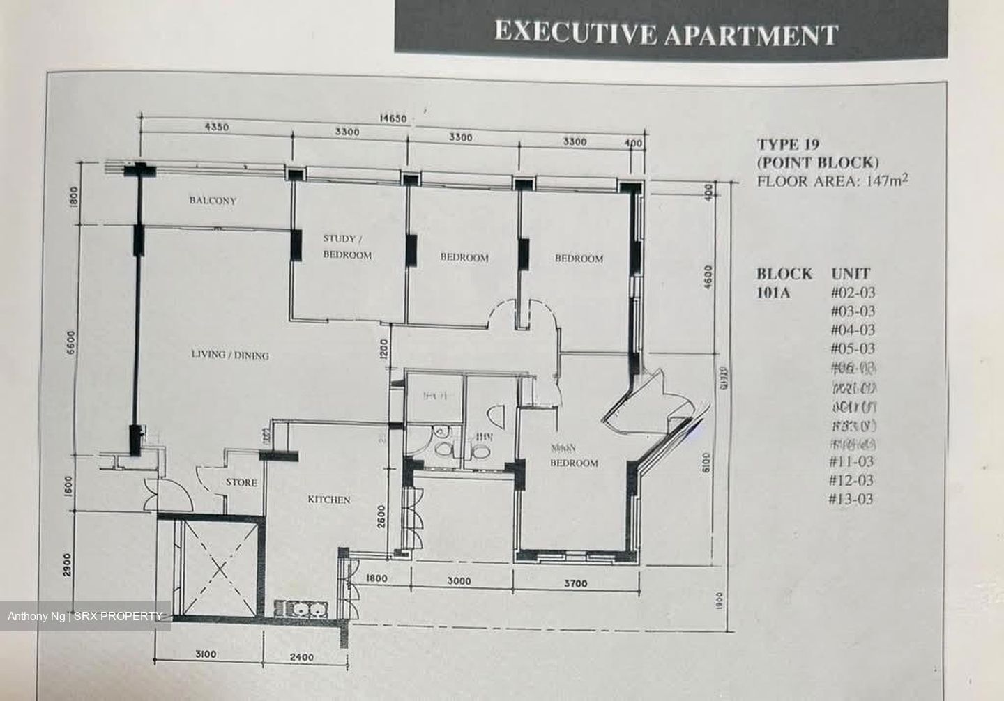 Blk 101A Lorong 2 Toa Payoh (Toa Payoh), HDB Executive #586181781